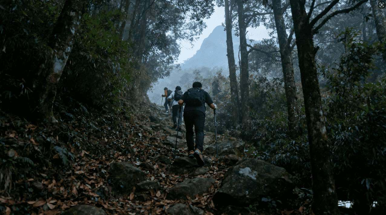苹果用户必备：免费VPN软件推荐与实测评比，哪款最值得选择